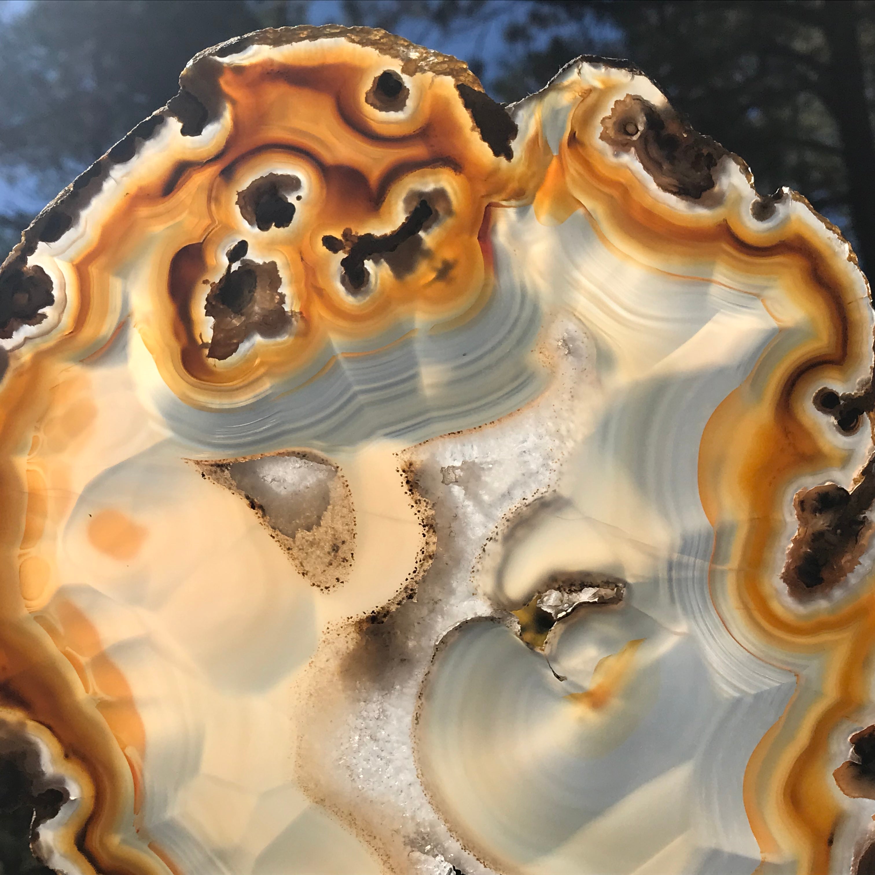 Radiant Brazilian Agate Slice