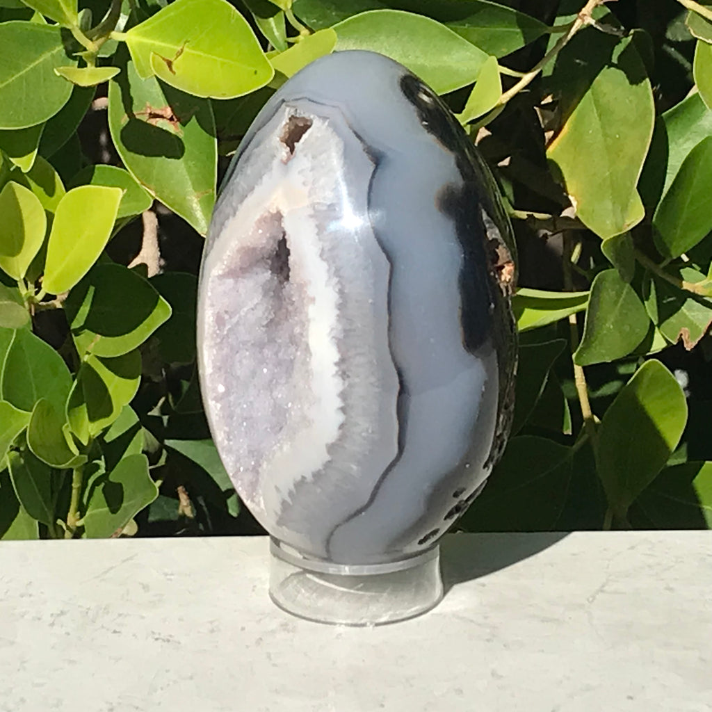 Black and Blue Banded Agate Egg.