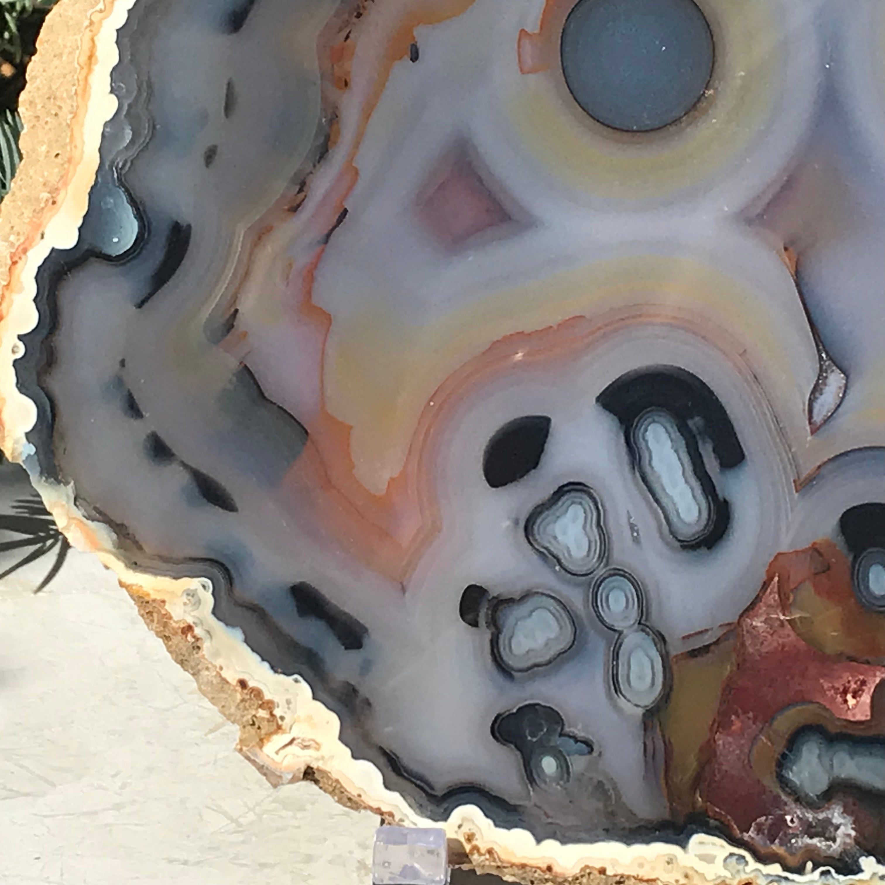 Stunningly Beautiful Agate Slice