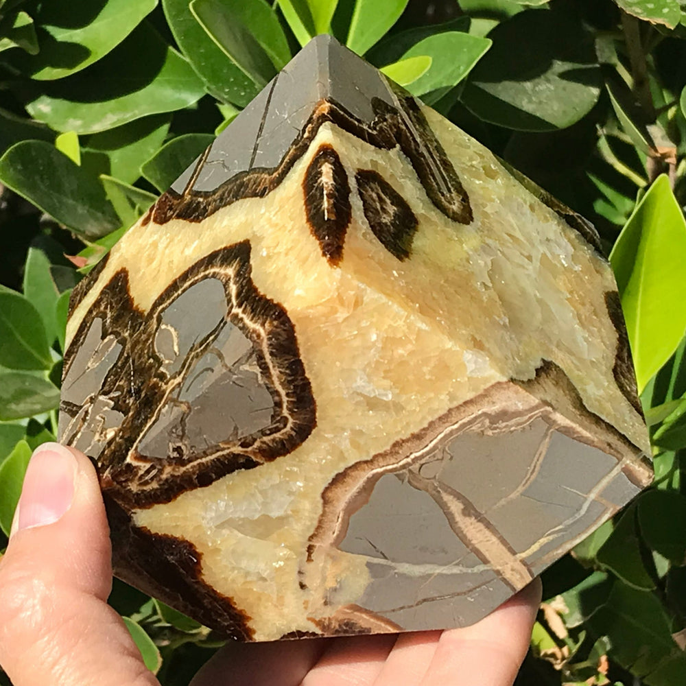 Polished Septarian Cube