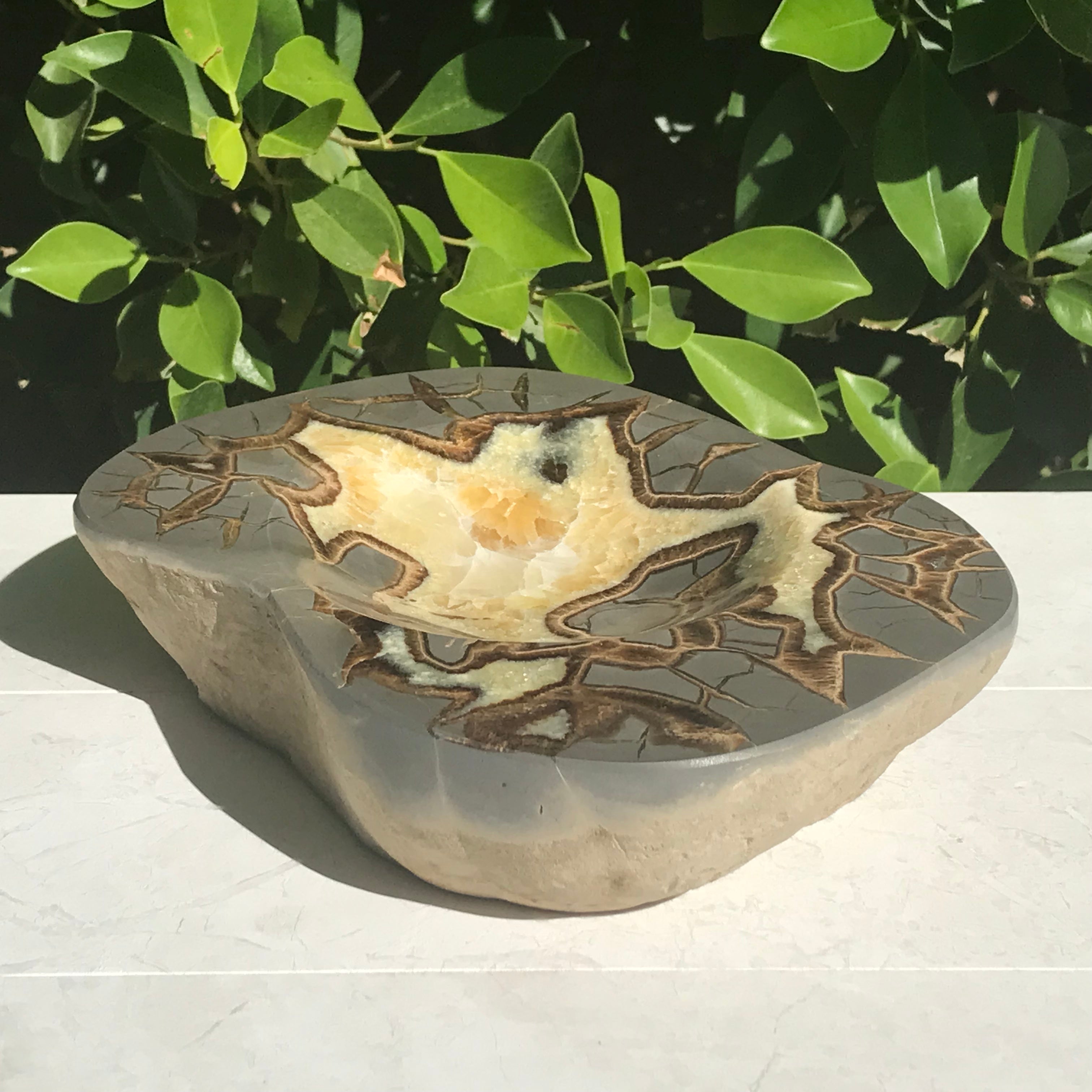 Patterned Septarian Bowl