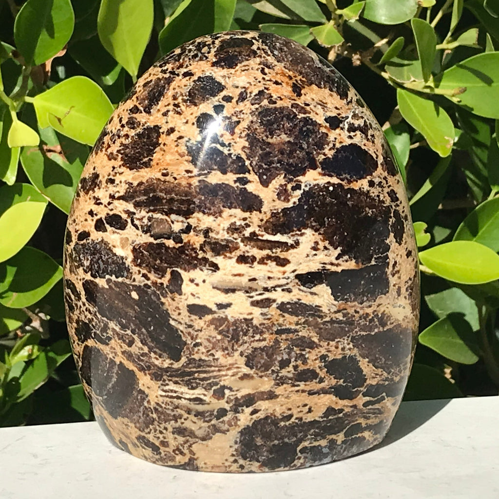 Black Opal Freeform