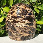 Black Opal Freeform
