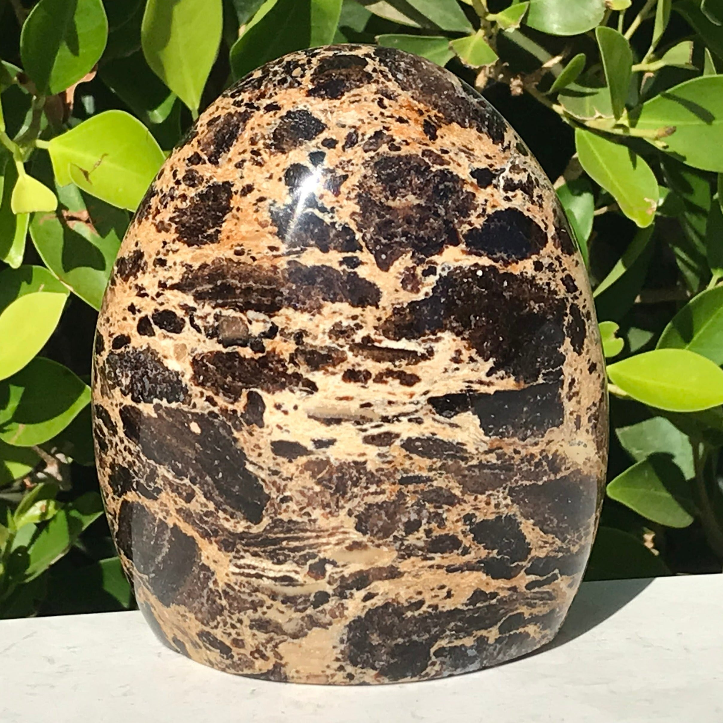 Black Opal Freeform