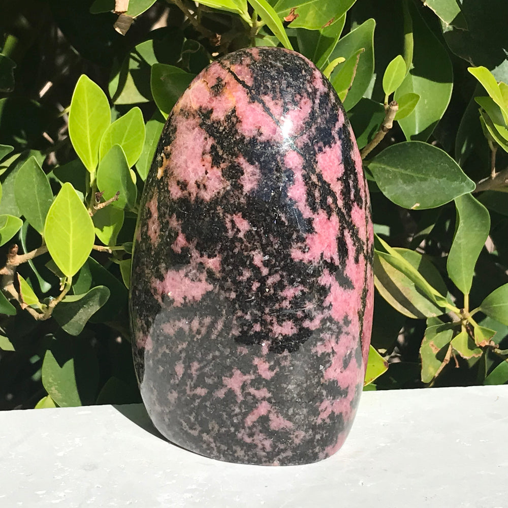 Polished Rhodonite Nodule