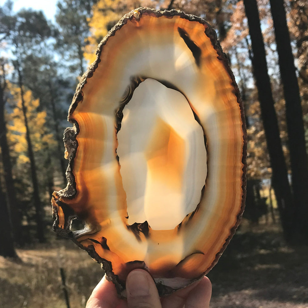 Concentric Banded Agate Slice