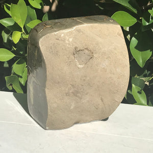 Polished Septarian Geode