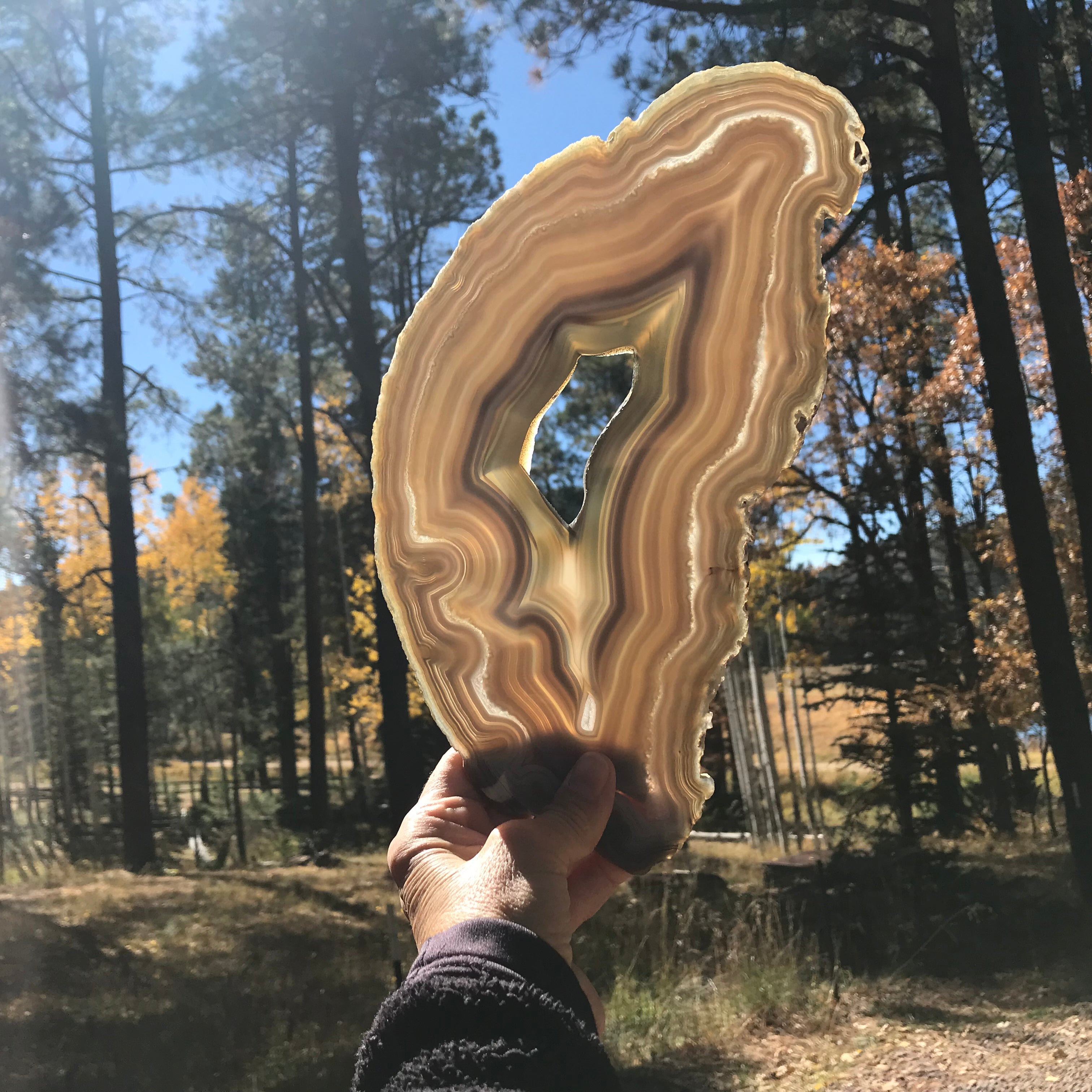 Multitude of Delicate Lines Agate Slice