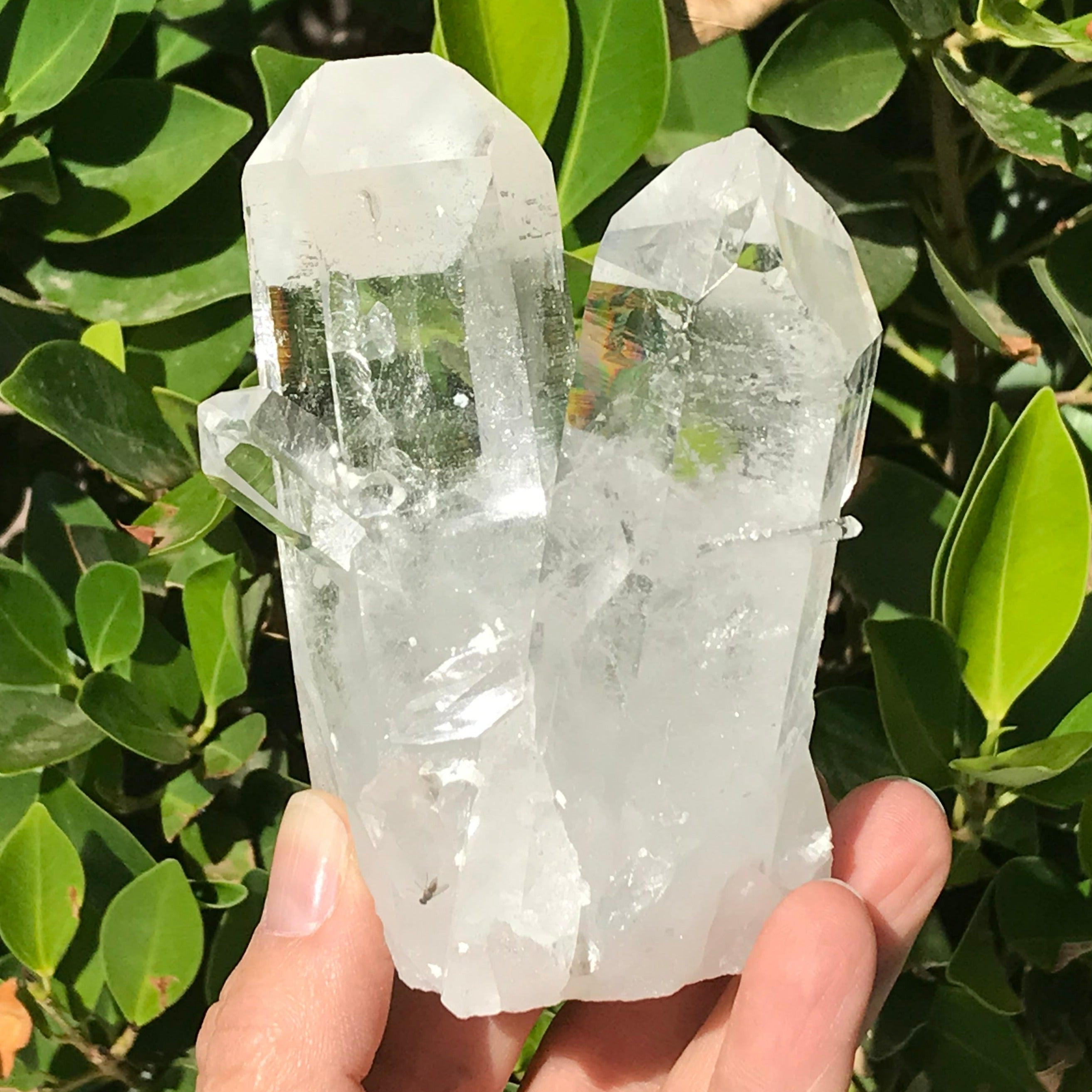 Twin Points Brazilian Crystal Cluster