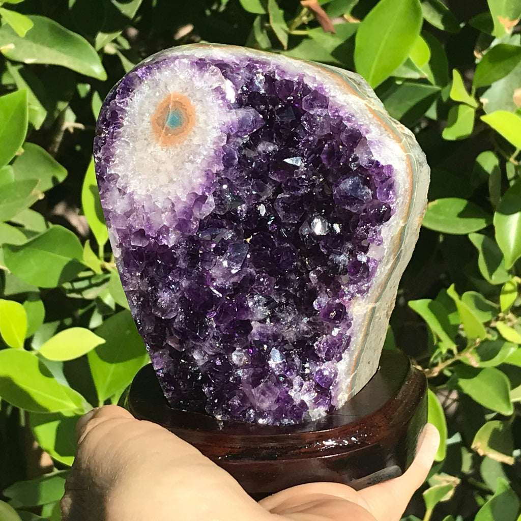 Single Eyed Uruguayan Amethyst Cluster