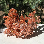 Michigan Sculpture Copper