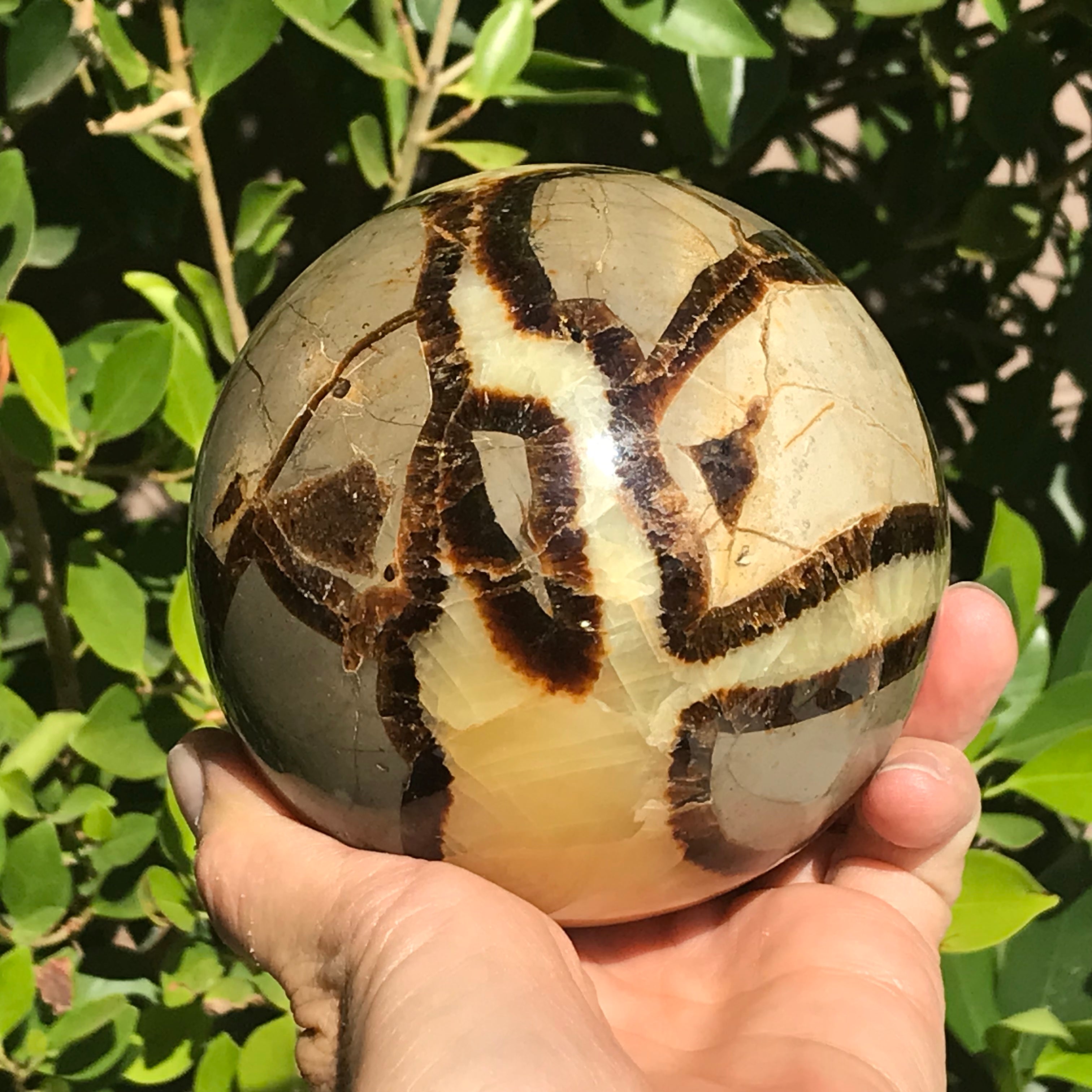 Substantial Septarian Sphere