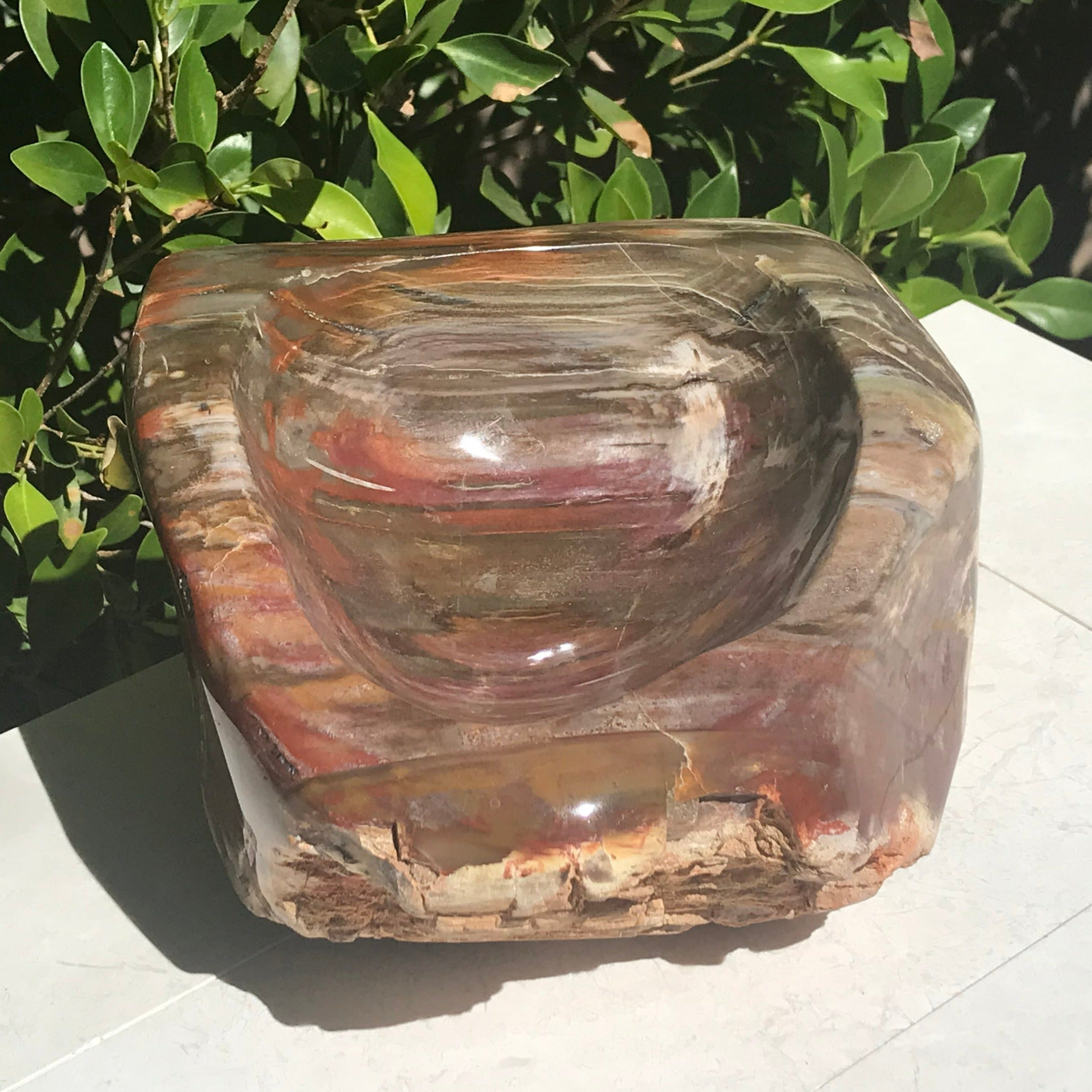 Multihued Petrified Wood Bowl
