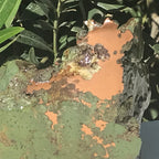 Peak of Copper Ore Freeform