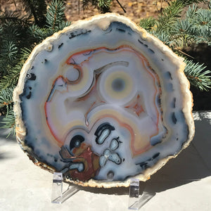 Stunningly Beautiful Agate Slice