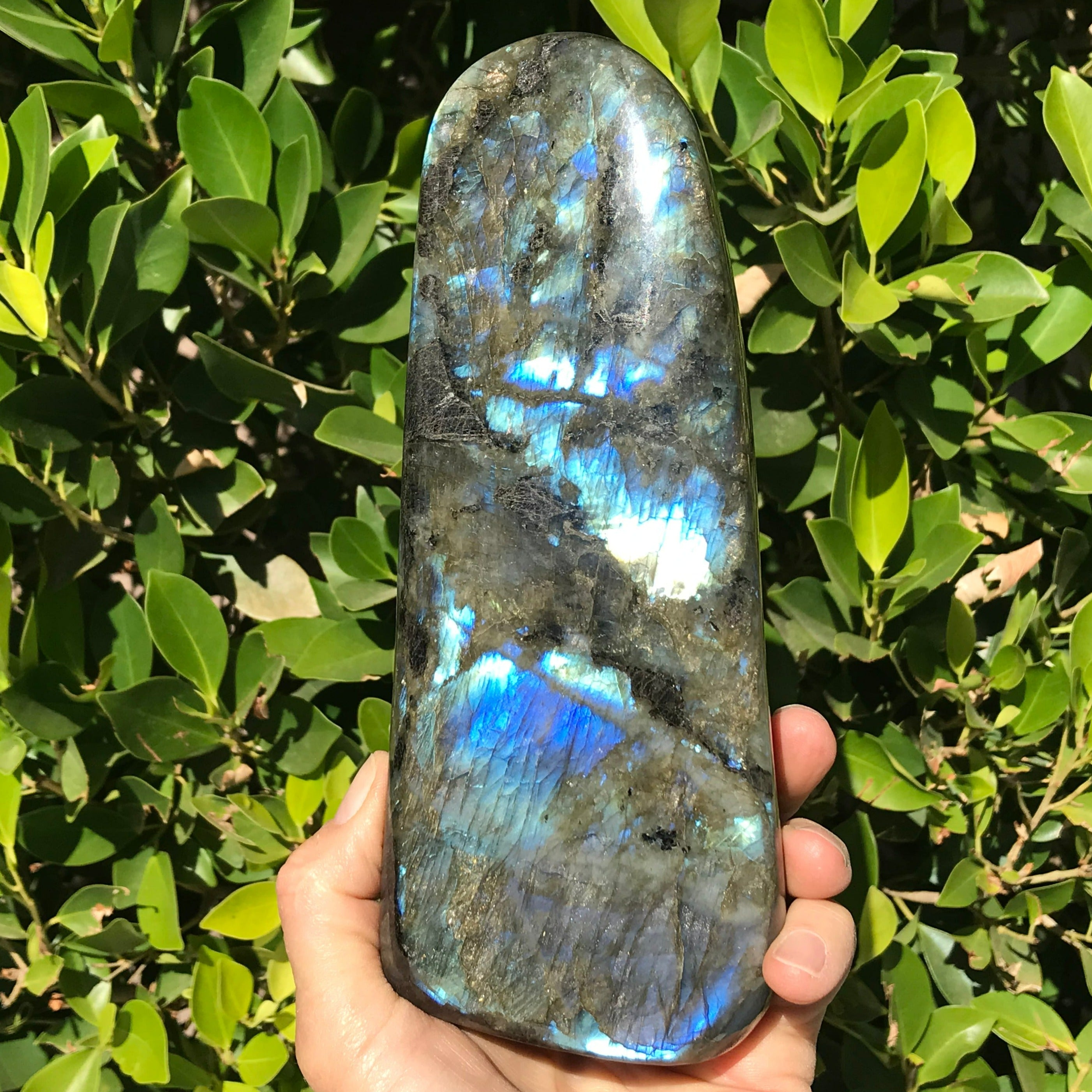 Tower of Blue Flash Labradorite