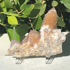 Towers of Crystals Cactus Quartz Cluster