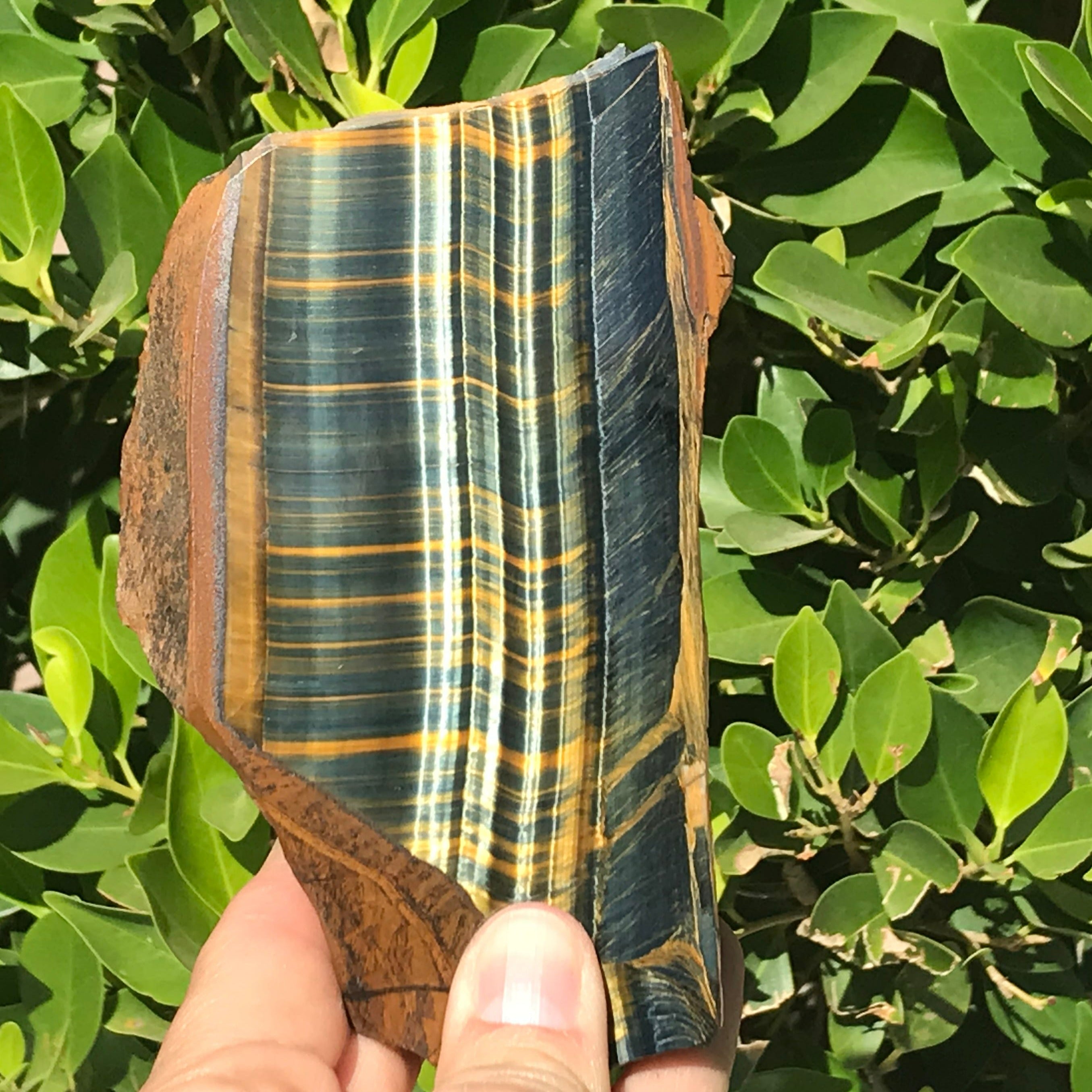 Tiger Eye Jasper