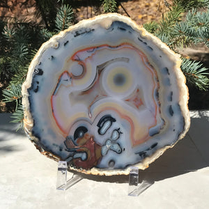 Stunningly Beautiful Agate Slice