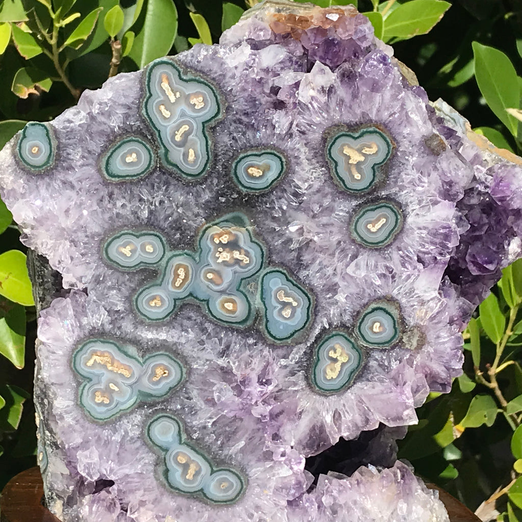 Green Eyed Agate /Amethyst Cluster