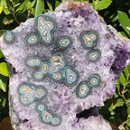Green Eyed Agate /Amethyst Cluster