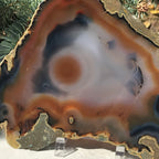 Orange Eyed Brazilian Agate Slice