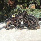 Multitude of Black Banding Agate Slice
