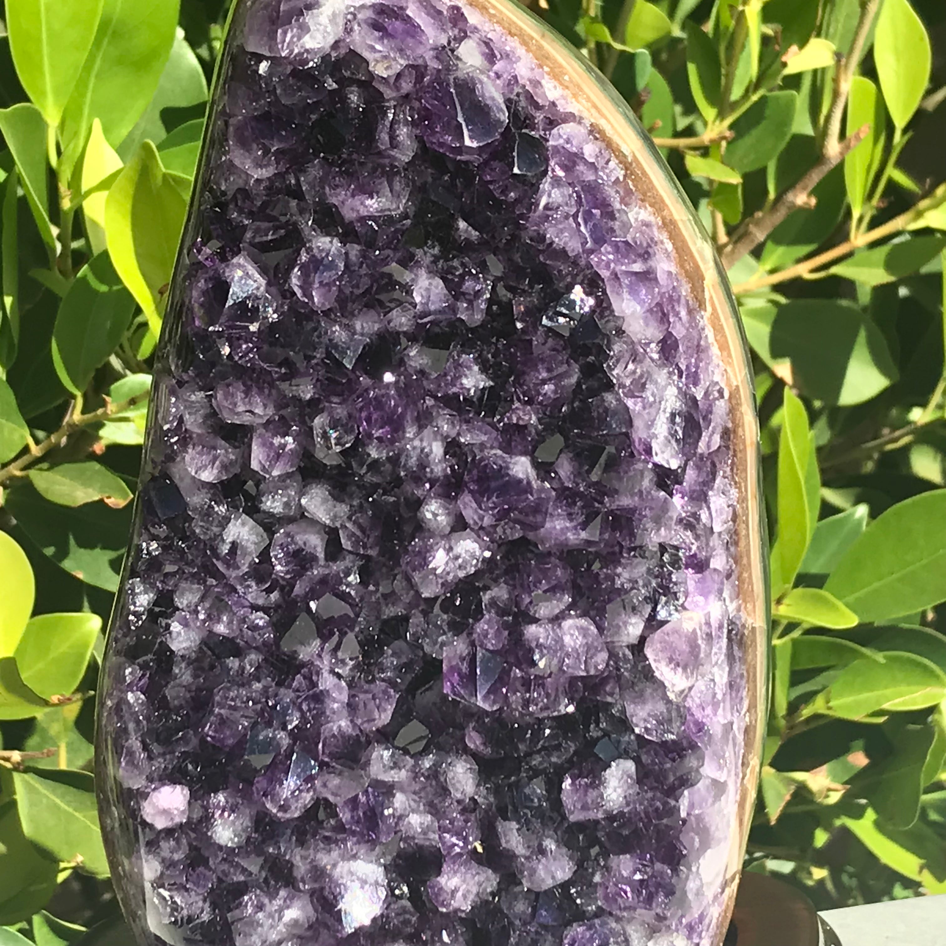 Classic Amethyst Freeform