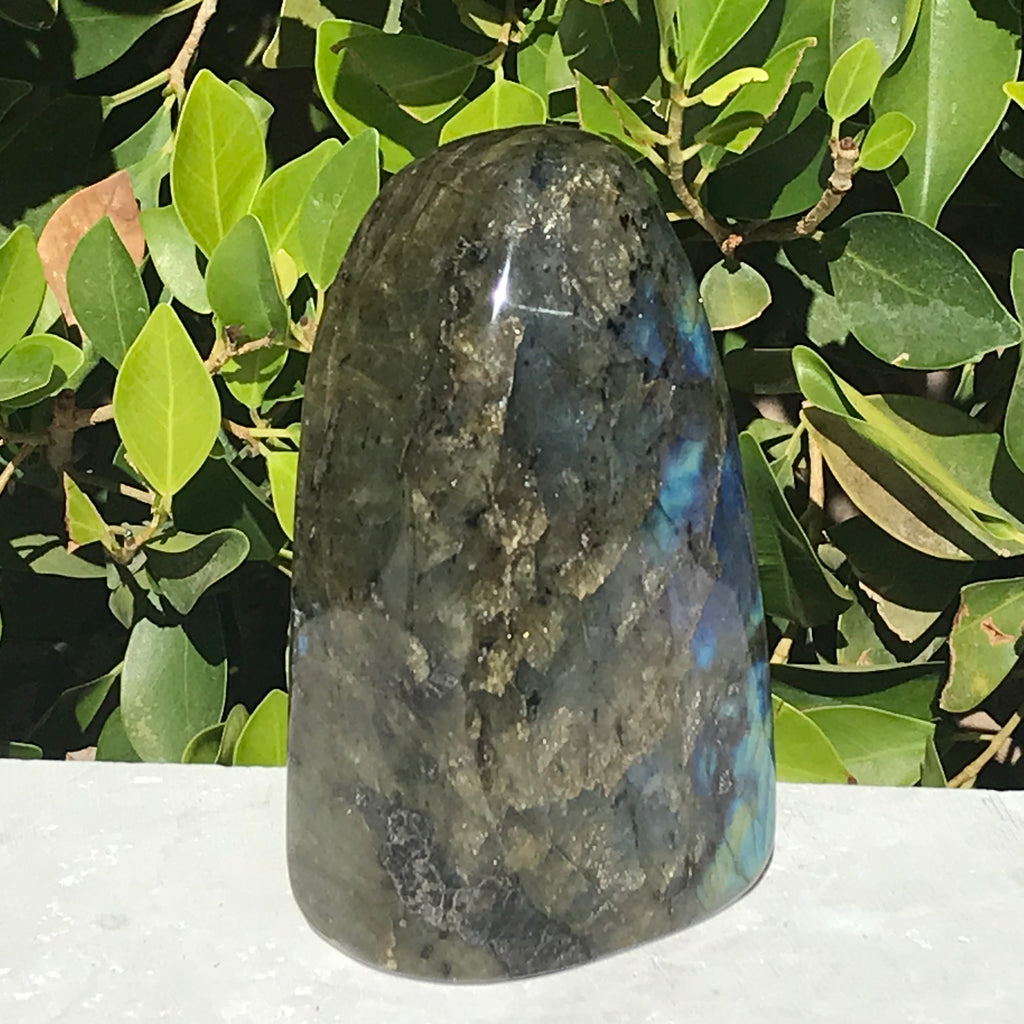 Colorful and Patterned Labradorite Freeform