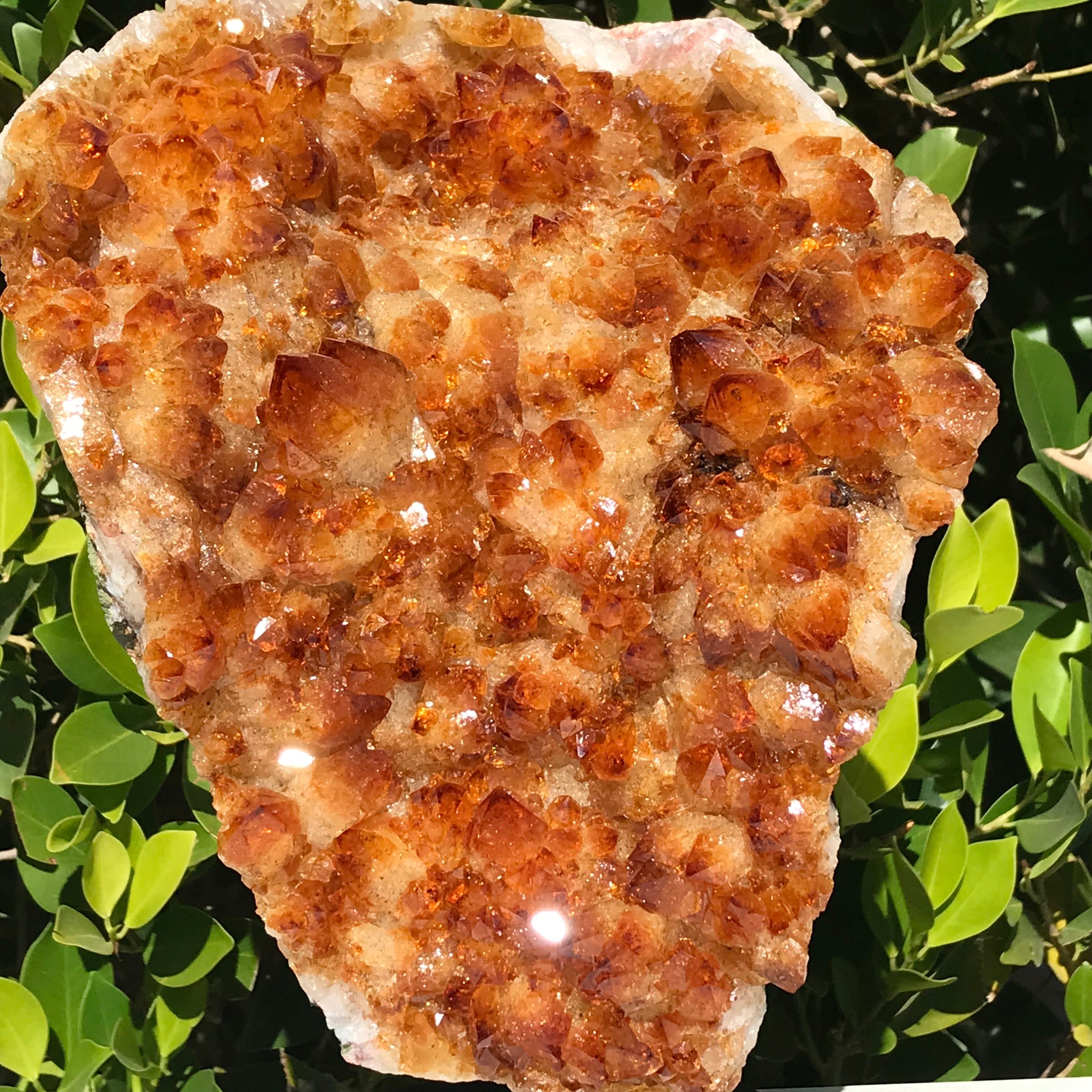 Impressive Citrine Freeform