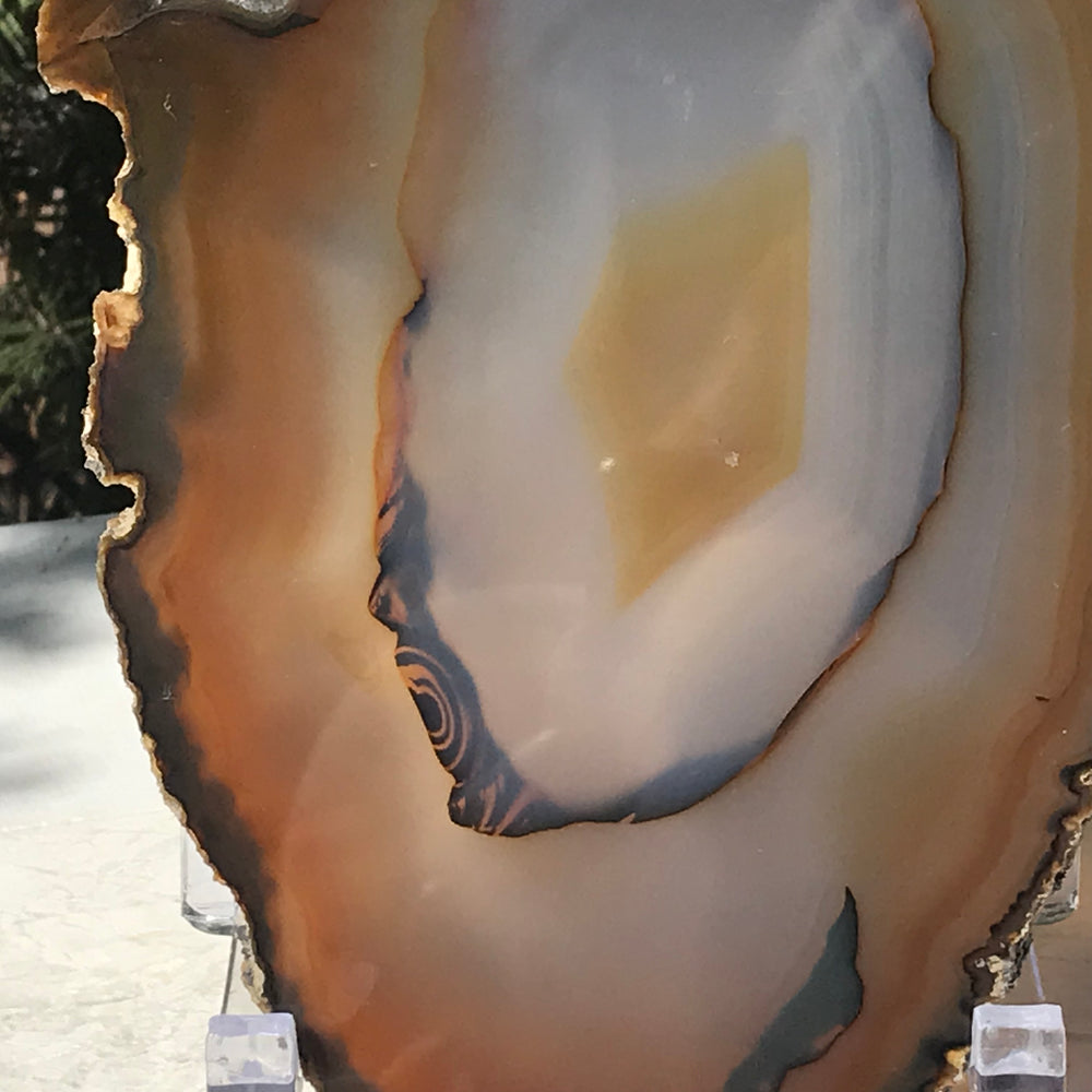 Concentric Banded Agate Slice