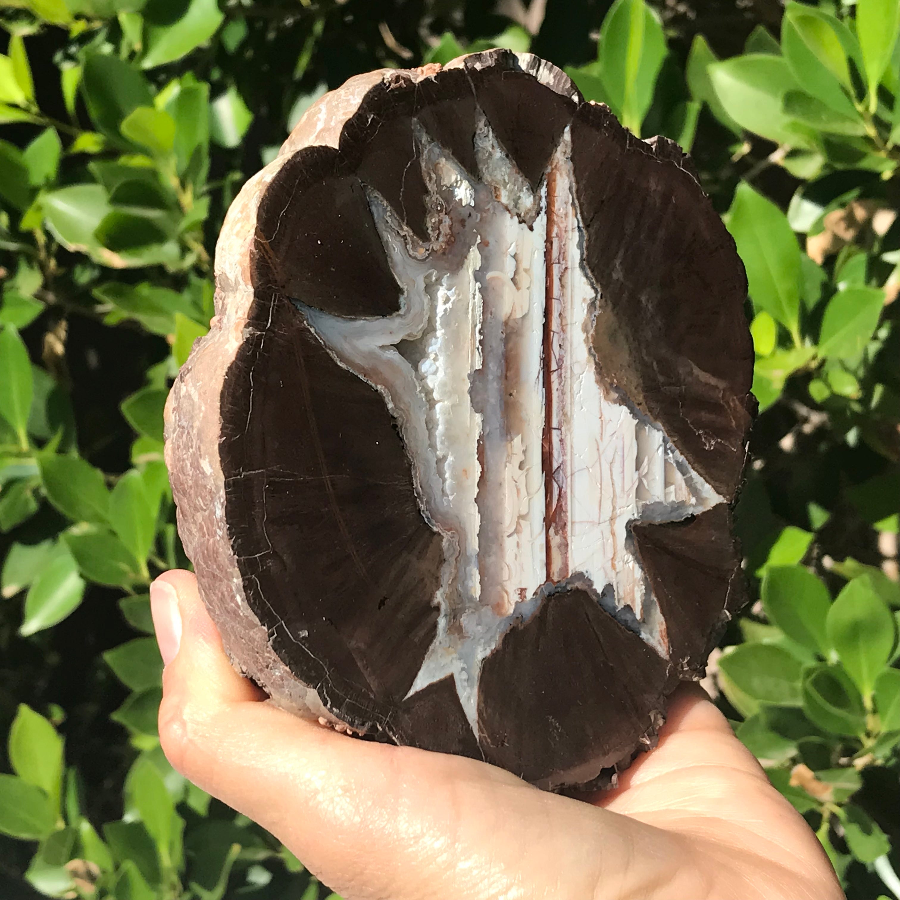 Star Insert Thunder Egg