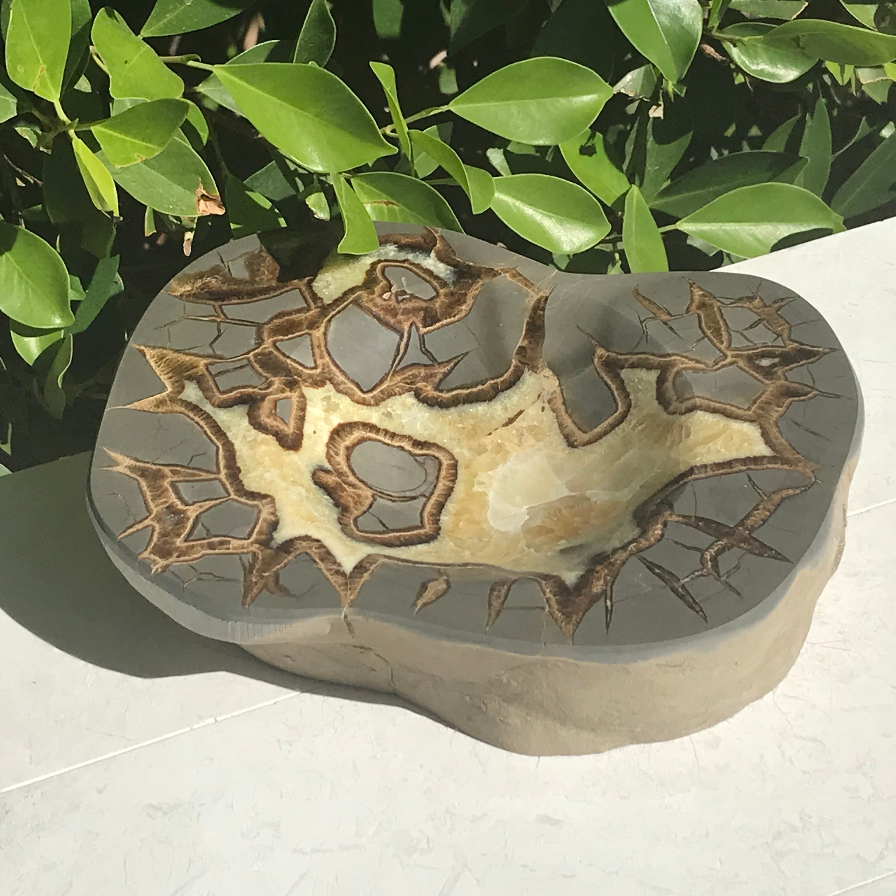 Patterned Septarian Bowl