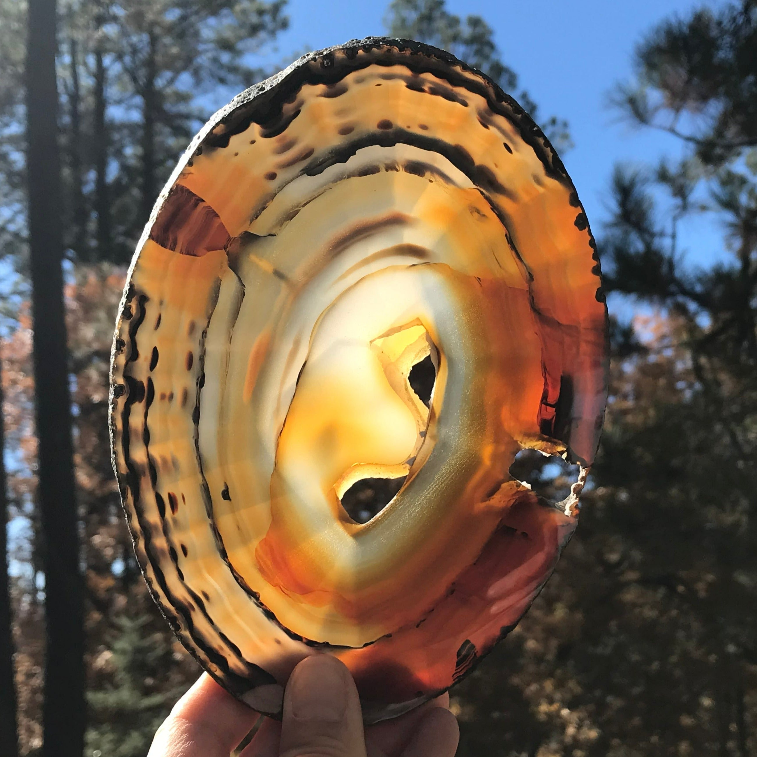 Brightly Translucent Agate Slice