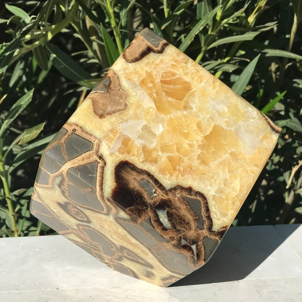 Standing Septarian Cube