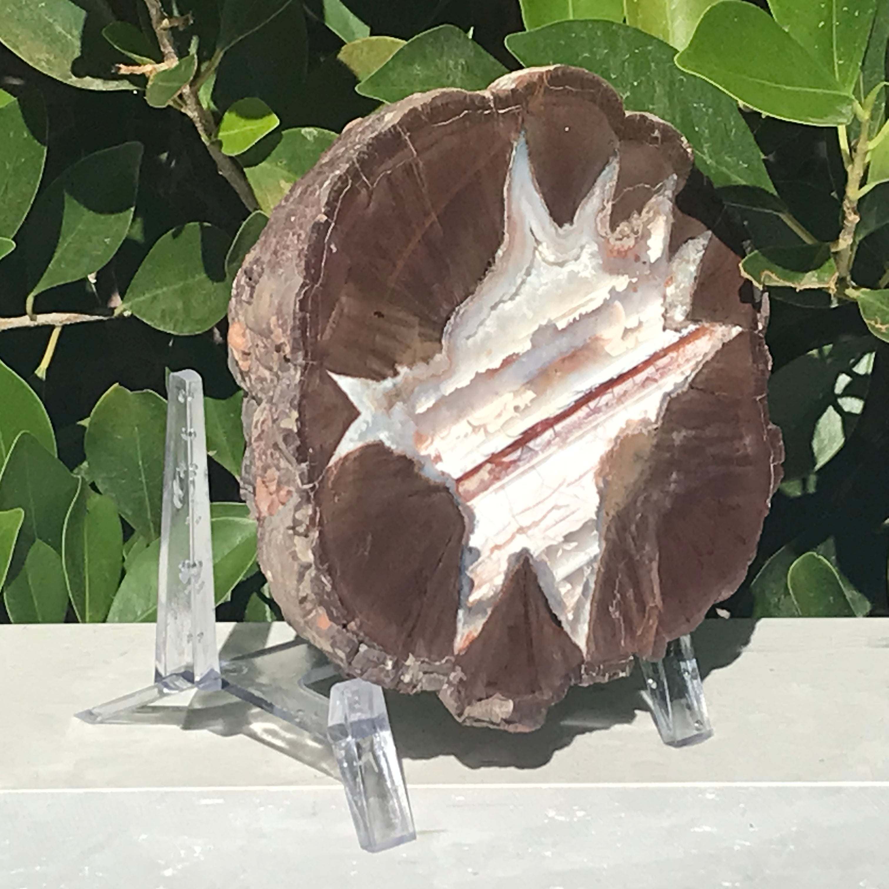 Star Insert Thunder Egg