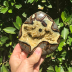 Flame Shaped Polished Septarian