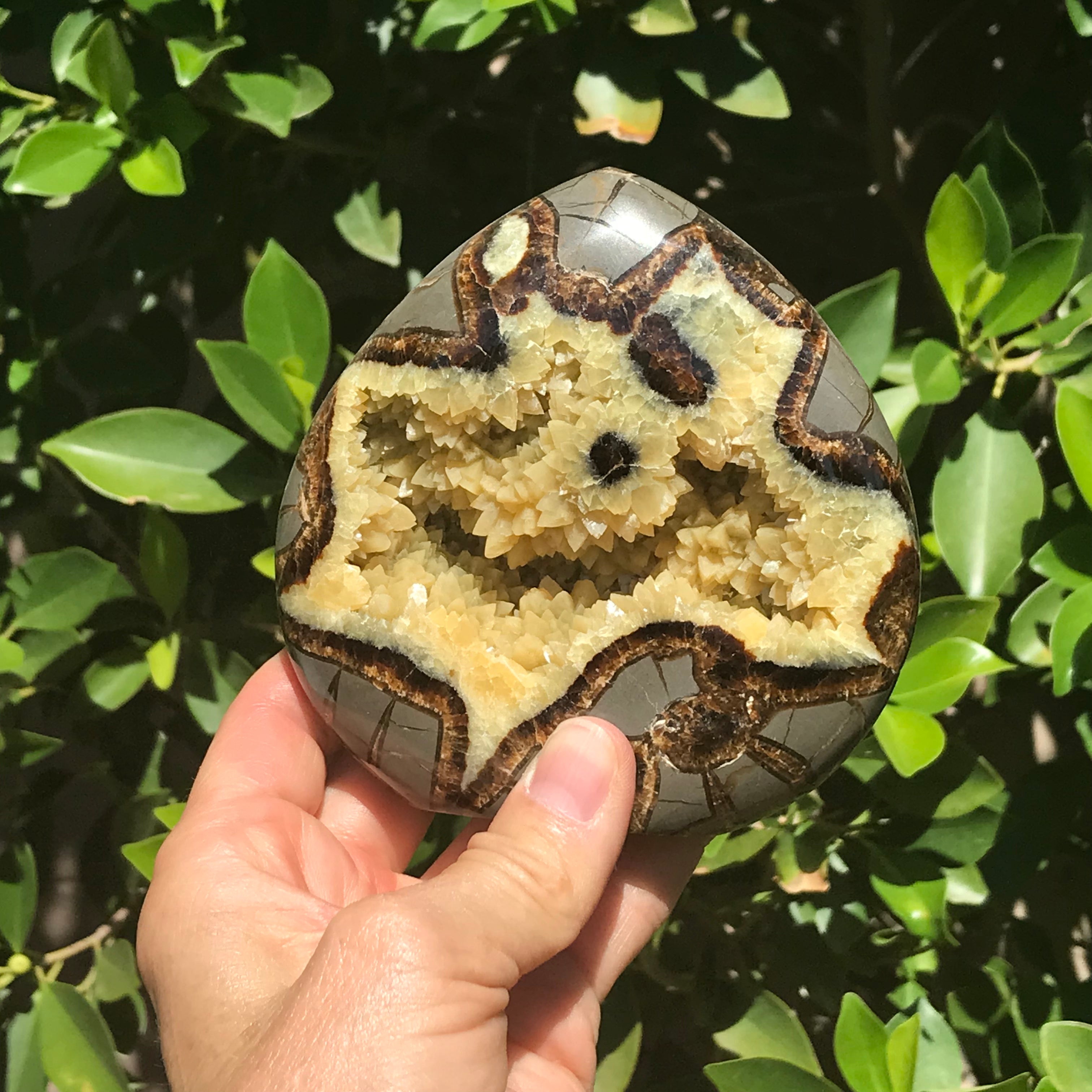 Flame Shaped Polished Septarian