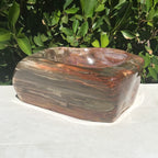 Multihued Petrified Wood Bowl