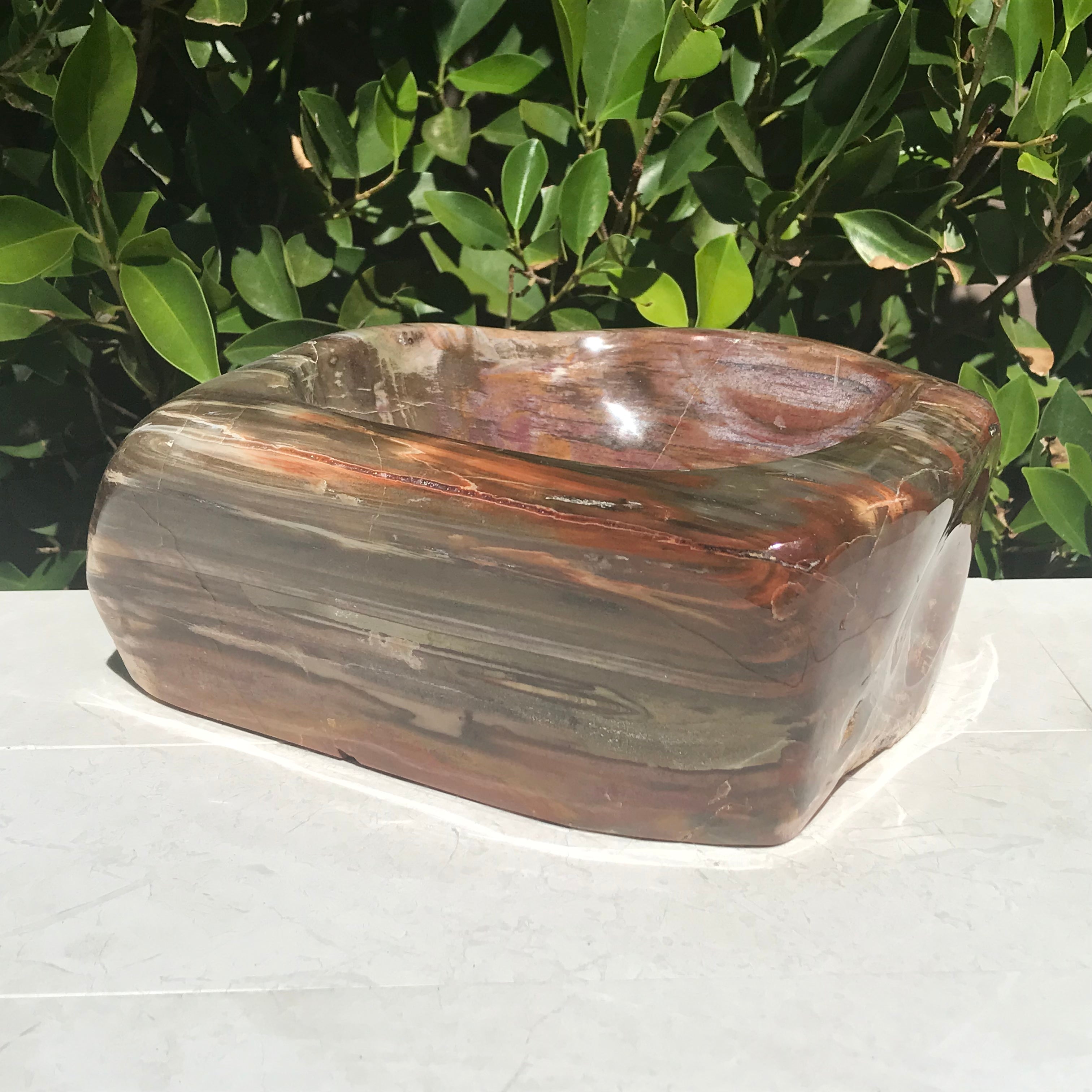 Multihued Petrified Wood Bowl