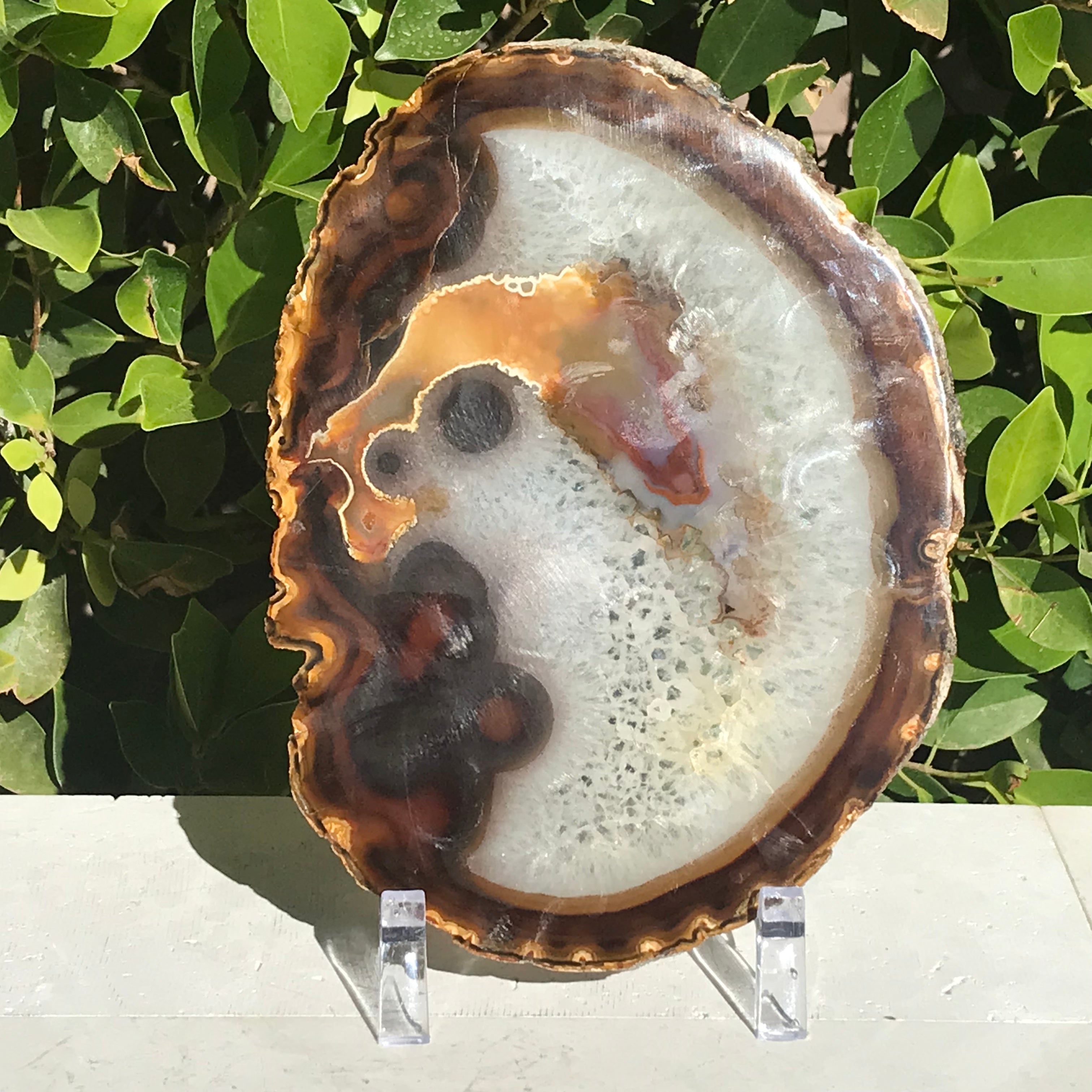 Hues of a Rainbow Agate Slice