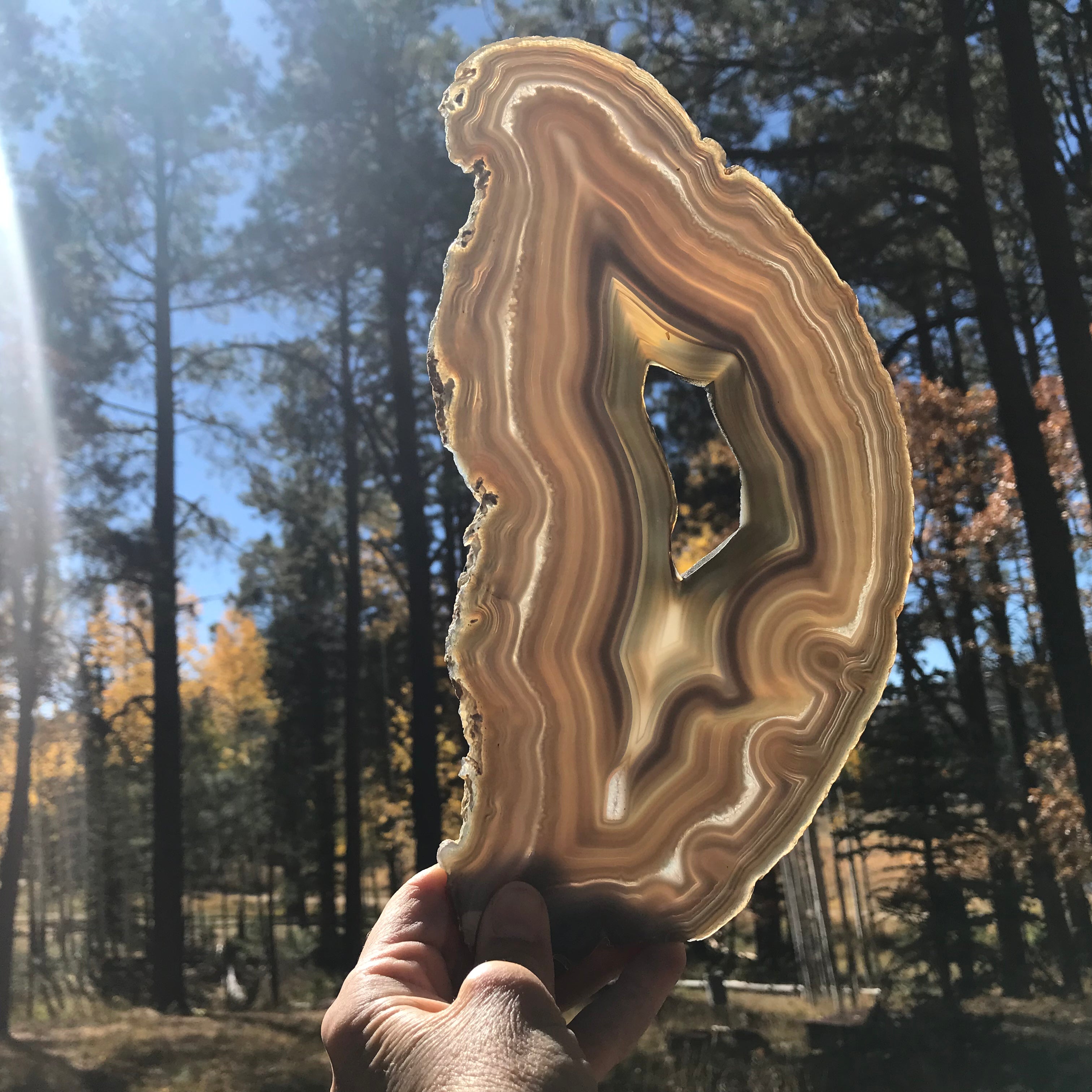 Multitude of Delicate Lines Agate Slice