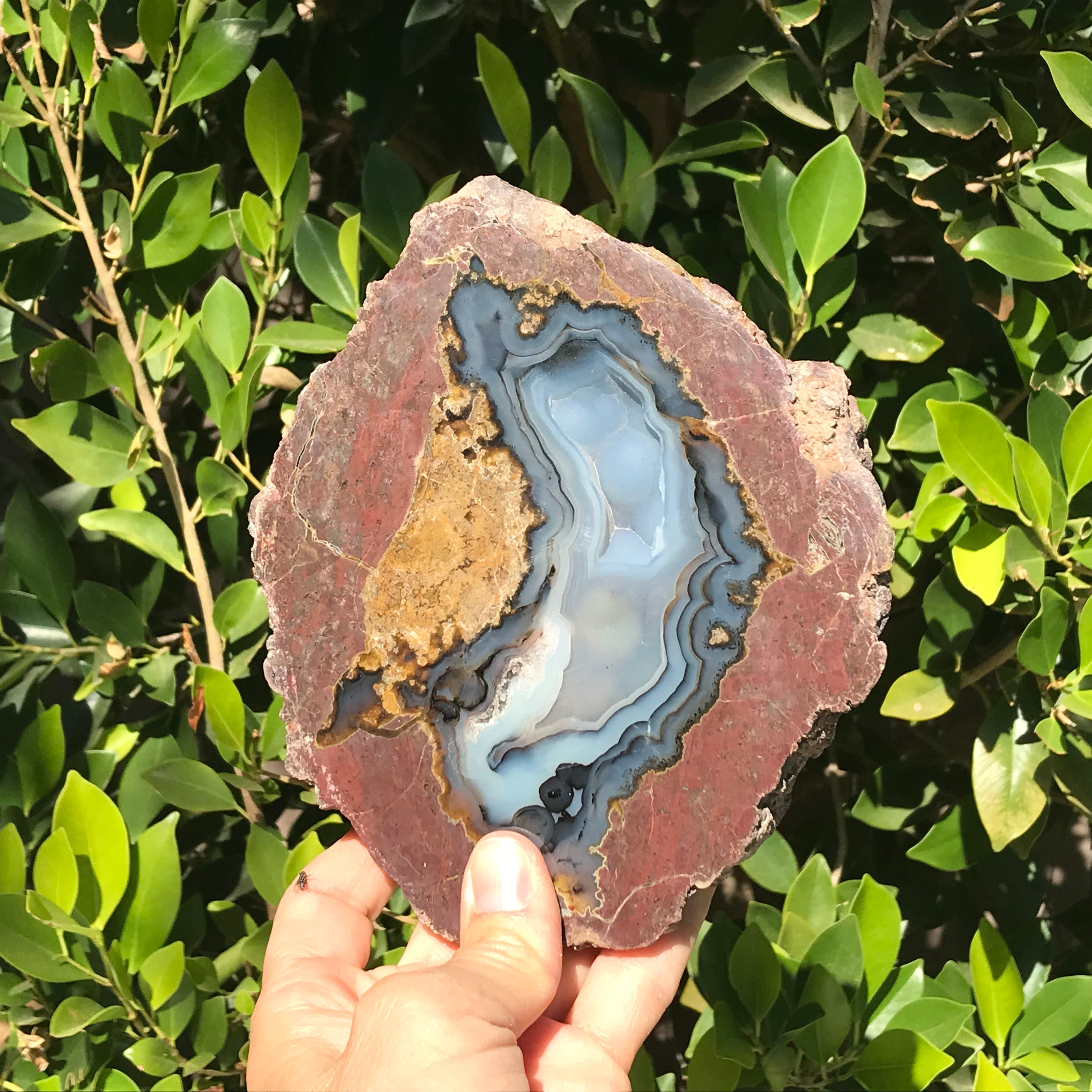 Microcrystalline Quartz Filled Dugway Geode