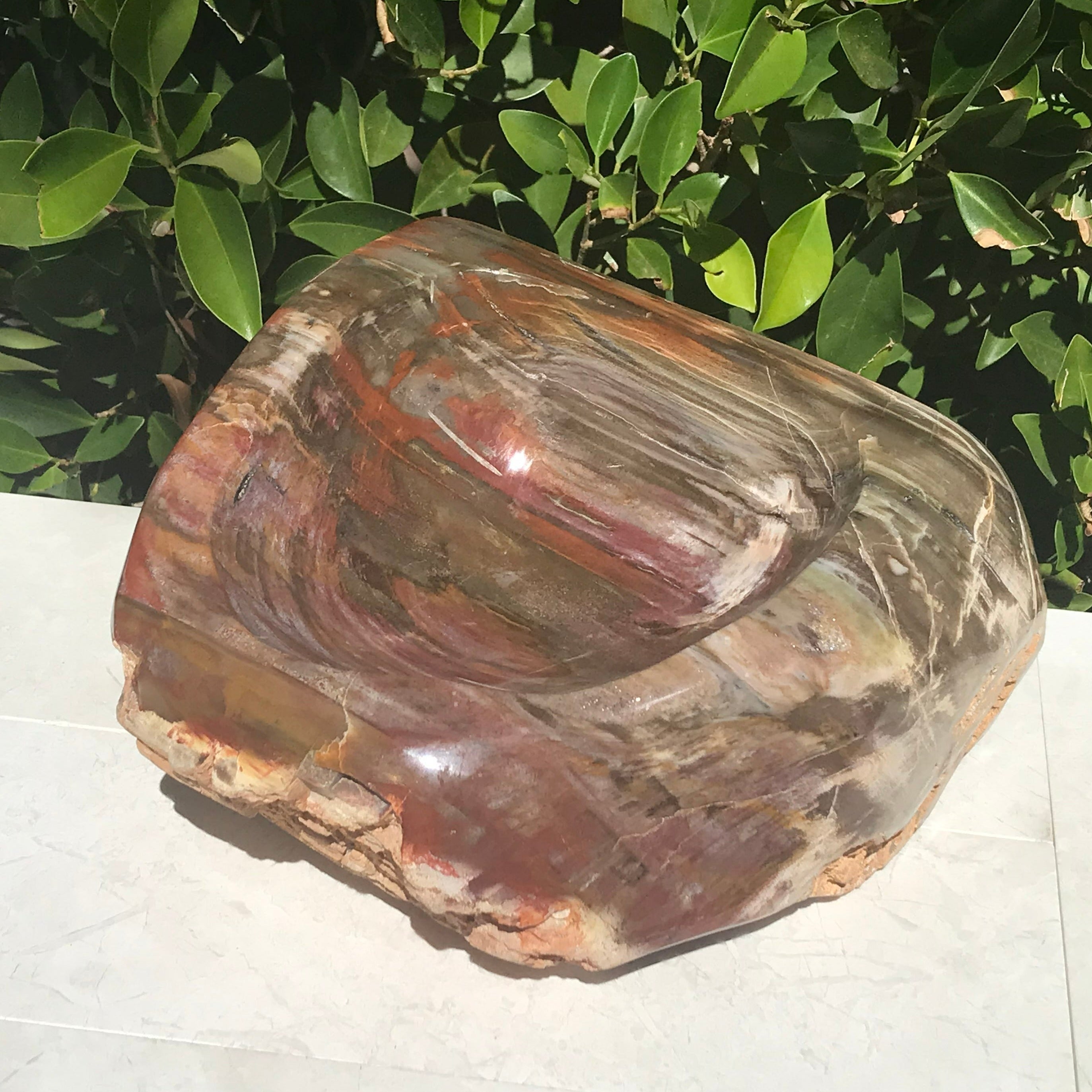 Multihued Petrified Wood Bowl