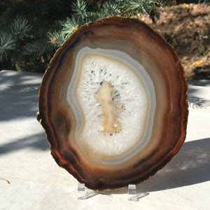 Shades of Fall Agate Slice