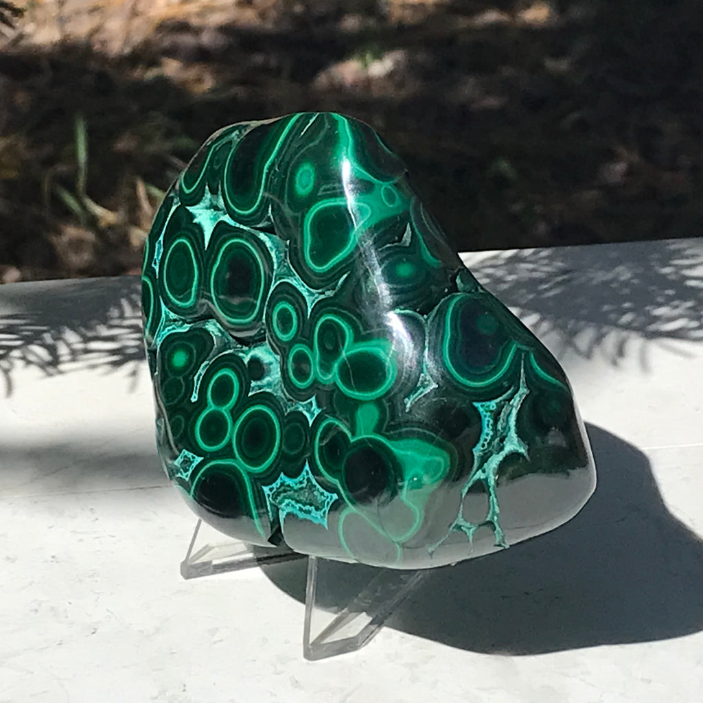 Prominant Orbbed Malachite with Chrysocolla