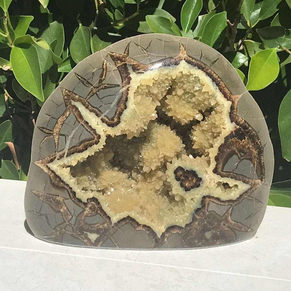Septarian Contraction Polished Septarian Nodule – Rockology.net