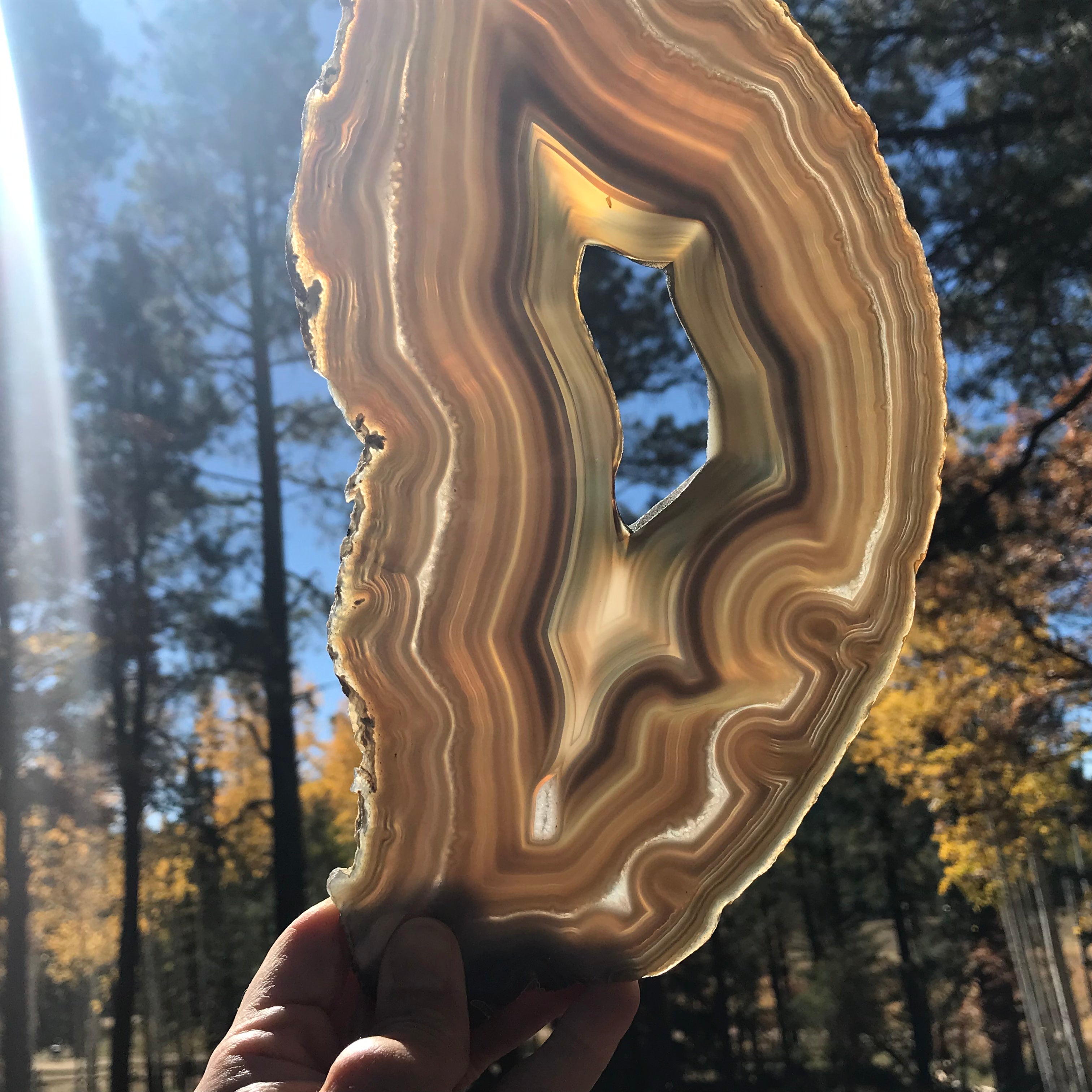 Multitude of Delicate Lines Agate Slice