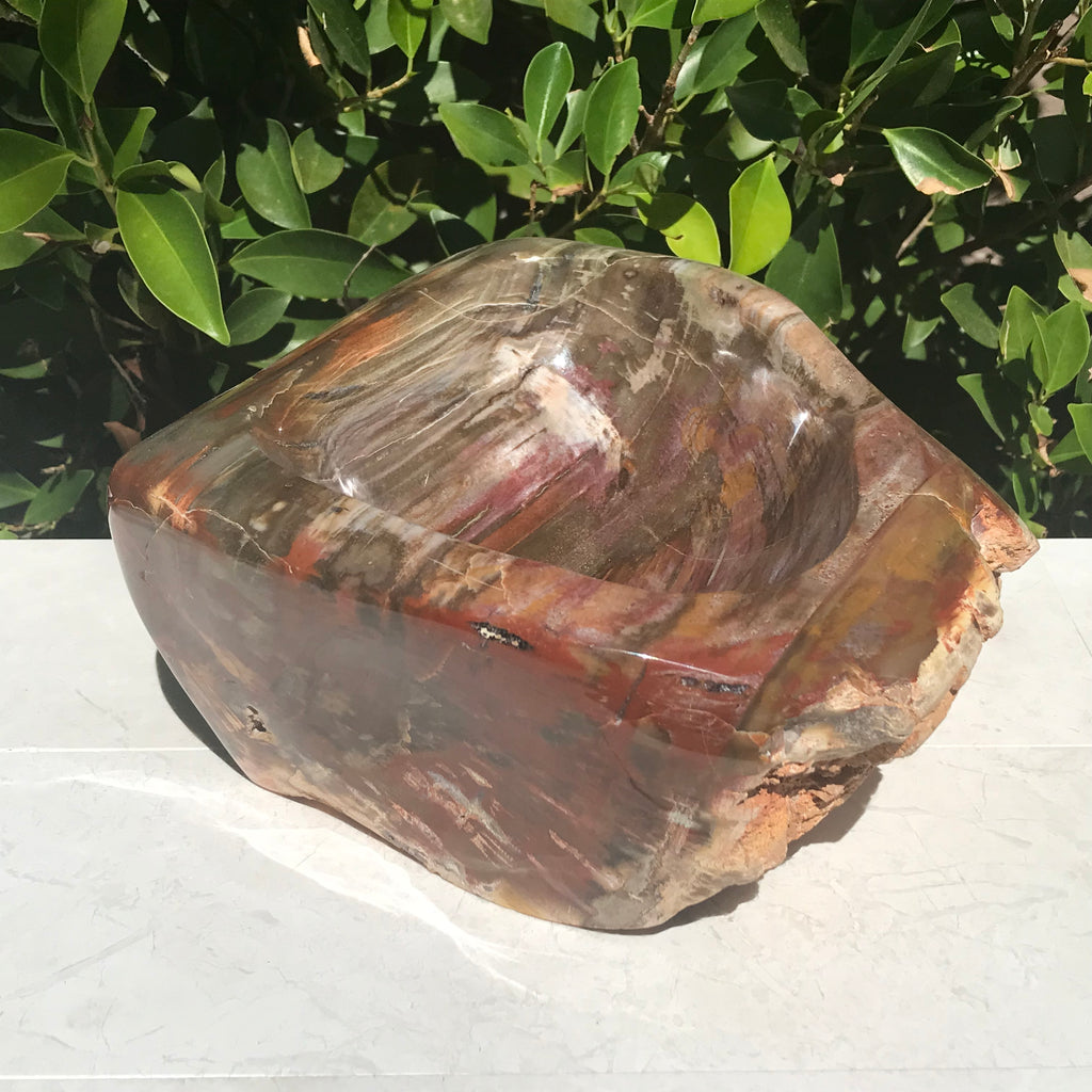 Multihued Petrified Wood Bowl