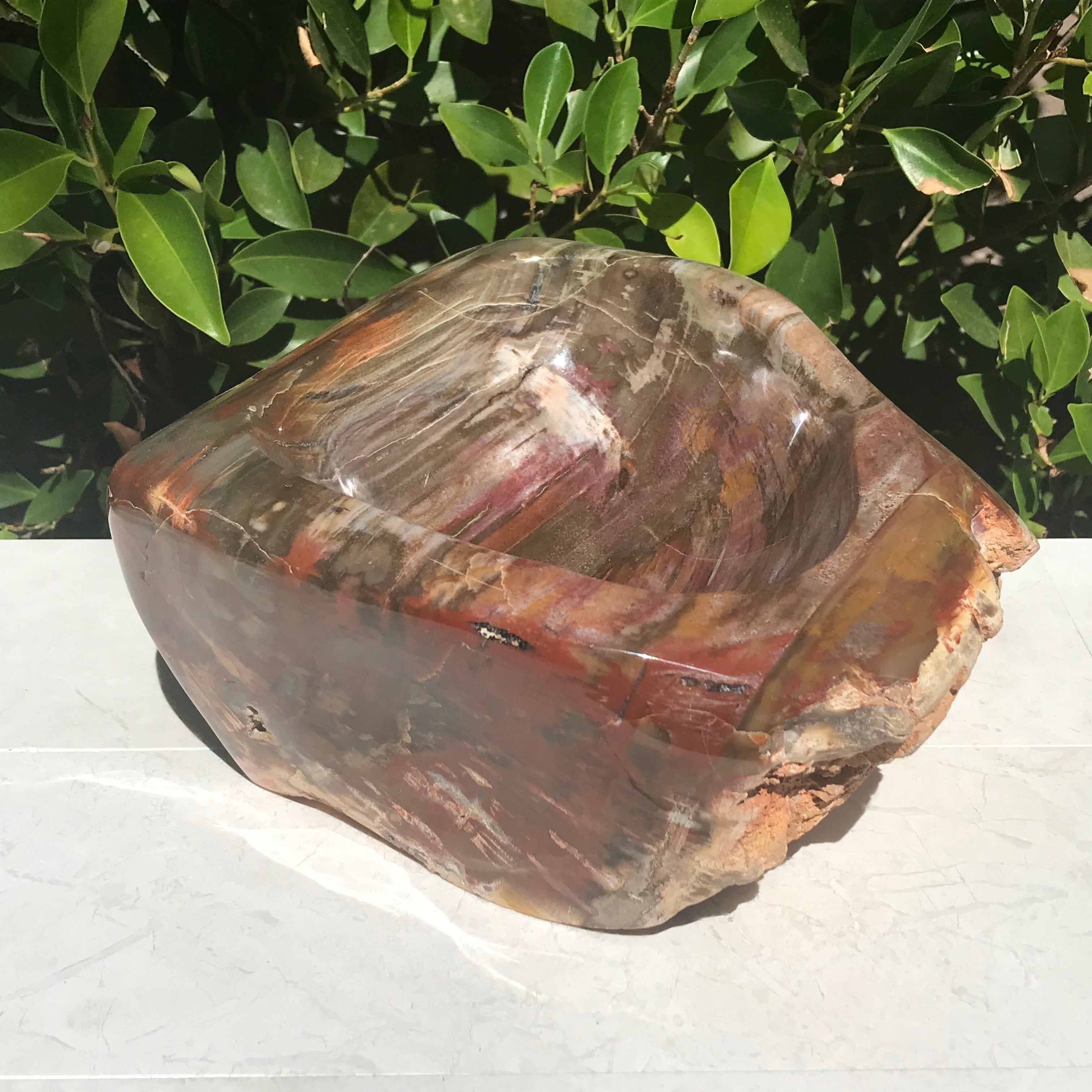 Multihued Petrified Wood Bowl